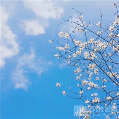 江湖侠客令百度版下载